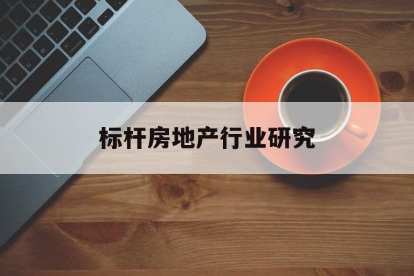 万宁市标杆房地产行业研究(房地产领域的标杆人物)