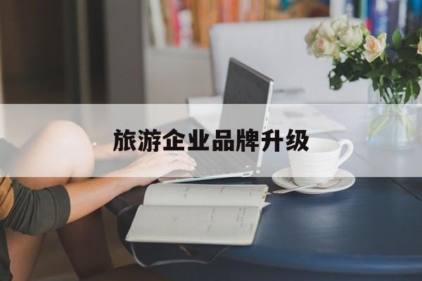 万宁市旅游企业品牌升级(旅游企业品牌升级措施)