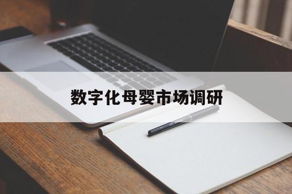 万宁市数字化母婴市场调研(数字化母婴市场调研报告)